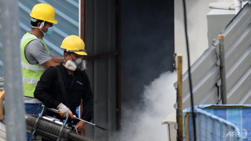 Weekly dengue cases fall to lowest in 'historic outbreak year', NEA urges continued vigilance Weekly dengue cases fall to lowest in 'historic outbreak year', NEA urges continued vigilance