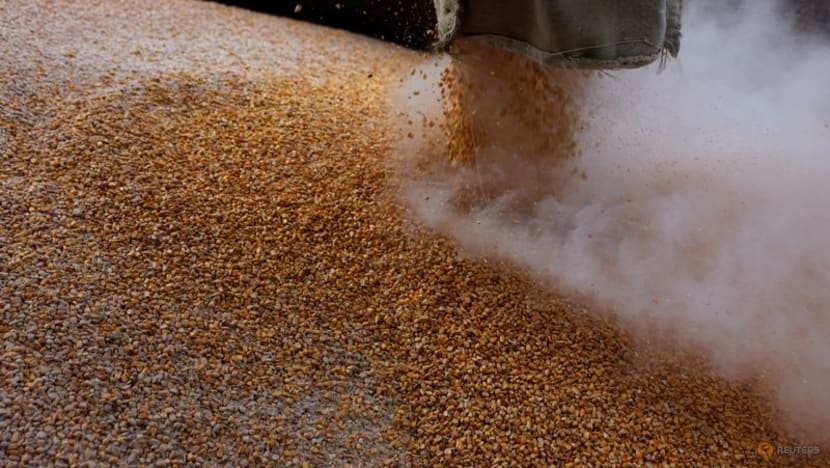 Kremlin says sanctions must be lifted for Russian grain to reach markets