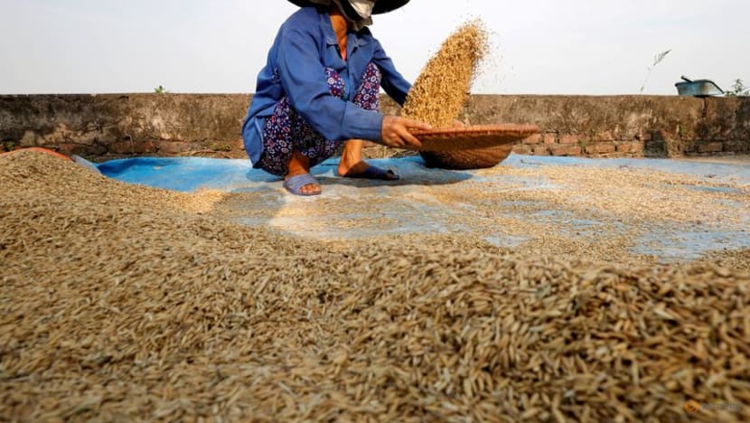 Vietnam food association official says no immediate plan to curb rice exports