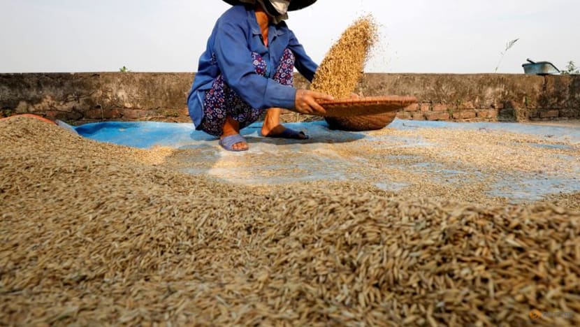 Vietnam food association official says no immediate plan to curb rice exports Vietnam food association official says no immediate plan to curb rice exports