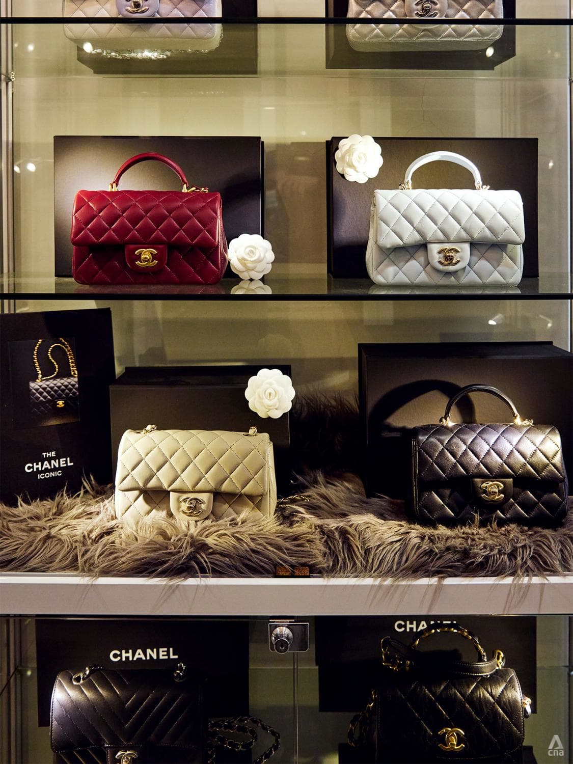 Bagaholicboy's Favourite Singaporean Style Stars In Chanel's Gabrielle Bag