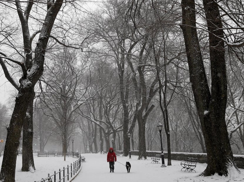 A woman walks a dog in falling snow at a park in Manhattan, New York. Research shows that people with dogs are often perceived to be more approachable, happier and more empathetic. Photo: Reuters