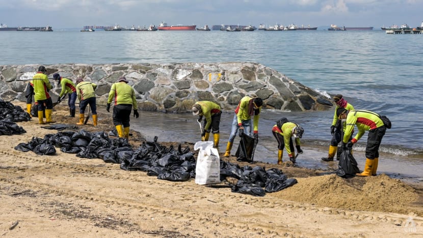 Oil spill: Several beaches, including East Coast Park and Sentosas Siloso,  mostly cleared of oil - CNA