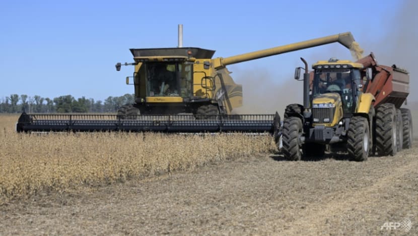 Soy boon for Argentina as Ukraine war boosts prices Soy boon for Argentina as Ukraine war boosts prices