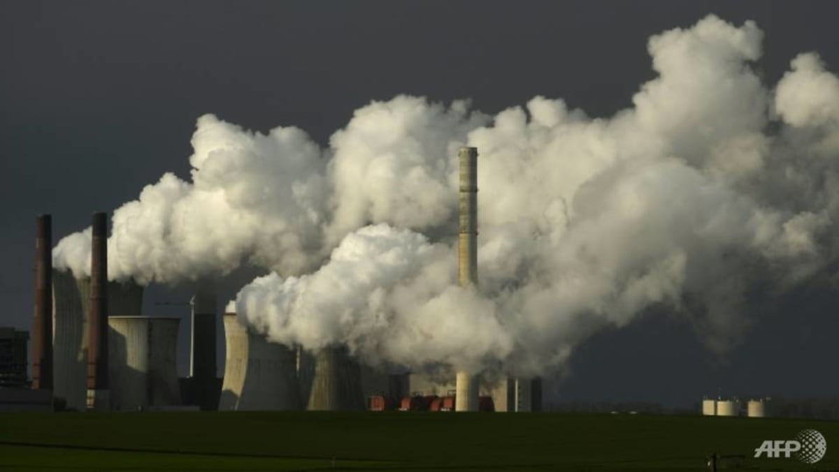 Pemilik aset yang mengelola US triliun menyerukan harga karbon global
