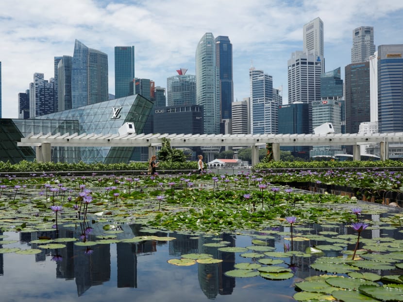 For 2020, the Ministry of Trade and Industry said Singapore's growth is expected to fall between 0.5 per cent to 2.5 per cent.