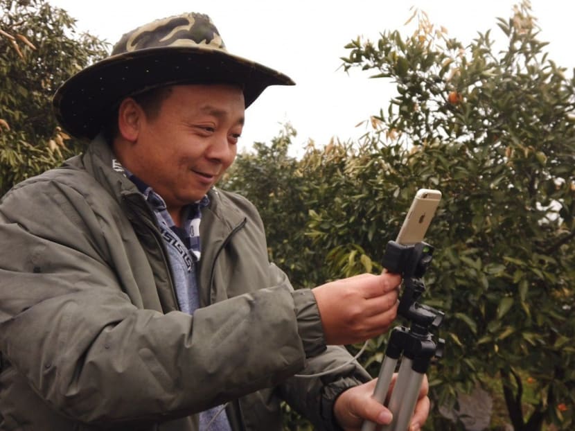 Zhong Haihui, a fruit farmer from central China's Hunan province, uses an iPhone 6, a small tripod and a power bank when live-streaming video for short video app operator Kuaishou and e-commerce platform Taobao Marketplace.