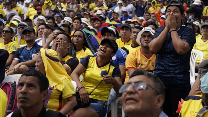 Ecuador fans proud of 'La Tri' despite World Cup elimination Ecuador fans proud of 'La Tri' despite World Cup elimination