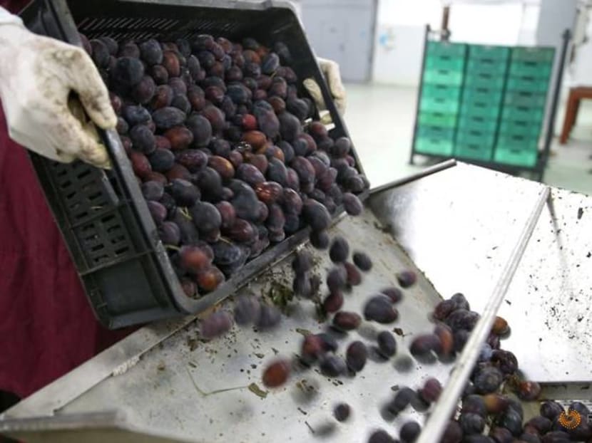 Bosnia's fruit growers prove resilient amid pandemic downturn Bosnia's fruit growers prove resilient amid pandemic downturn