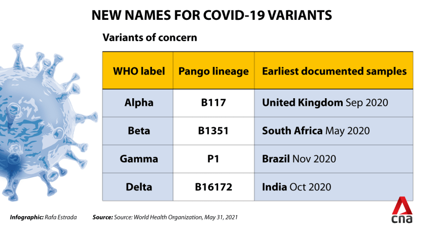 Vaccine against delta variant sinovac How do