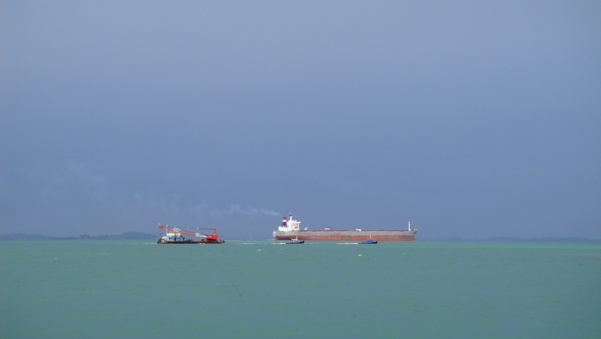harbour-pilot-from-psa-marine-dies-after-falling-into-waters-off-singapore-s-kusu-island-cna