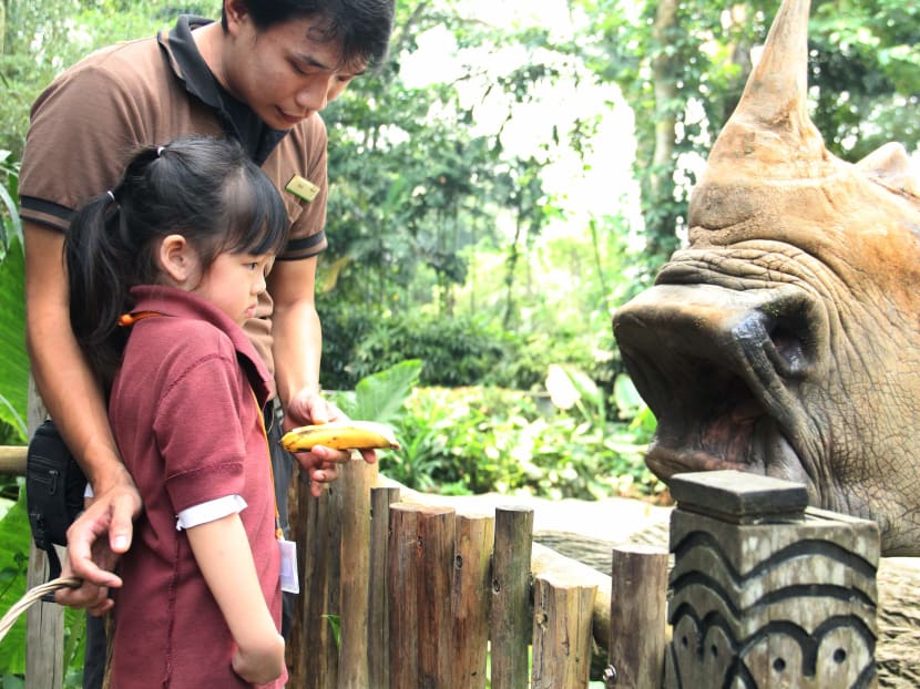 Gallery: Singapore Zoo to launch campaign on rhino conservation