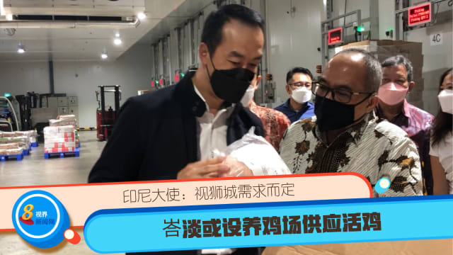 印尼大使：视狮城需求而定 峇淡或设养鸡场供应活鸡