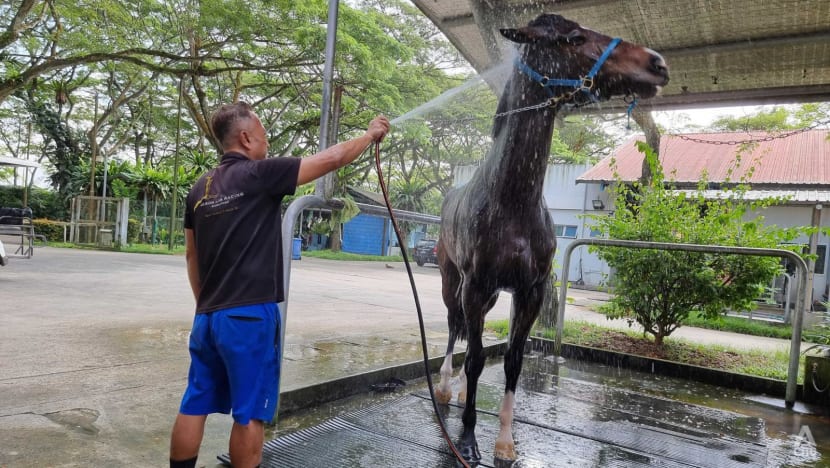 Jockeys, stable hands at Turf Club face uncertain future with end of horse racing in Singapore