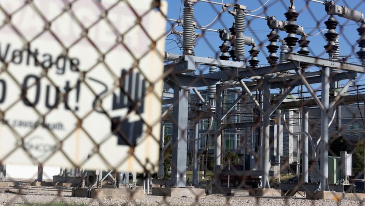 Data centers, EVs to significantly boost US power load by 2030, consultancy says