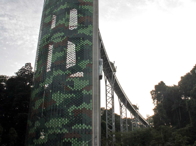 The Fort Siloso Skywalk. Photo: Jaslin Goh/TODAY