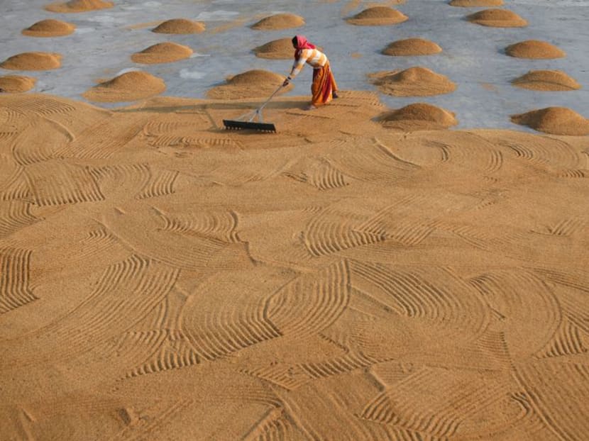 A worker spreads rice for drying at a rice mill on the outskirts of Kolkata, India, Jan 31, 2019.&nbsp;