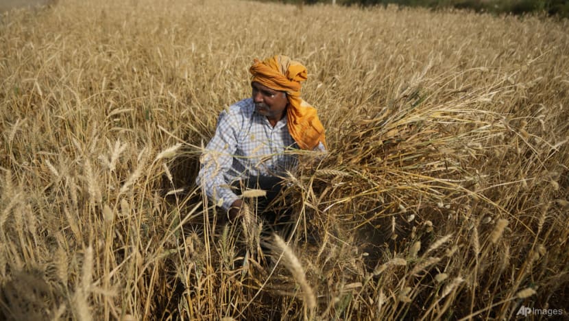 Commentary: How much does India's wheat export ban threaten global food supplies? Commentary: How much does India's wheat export ban threaten global food supplies?