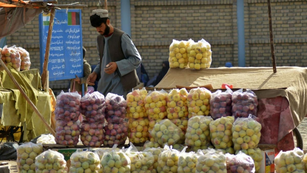 Krisis pangan Afghanistan ‘warisan’ dari pemerintahan sebelumnya: Taliban