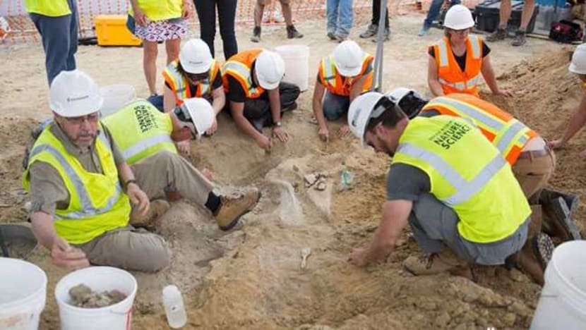அமெரிக்கா: 66 மில்லியன் ஆண்டுப் பழைமையான டைனோசர் எலும்பு கண்டுபிடிப்பு