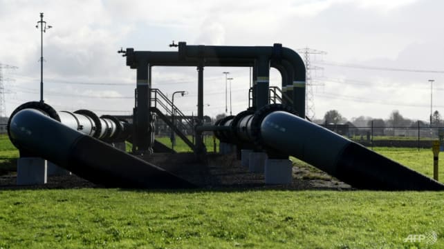 Netherlands halts extraction from Europe's biggest gas field