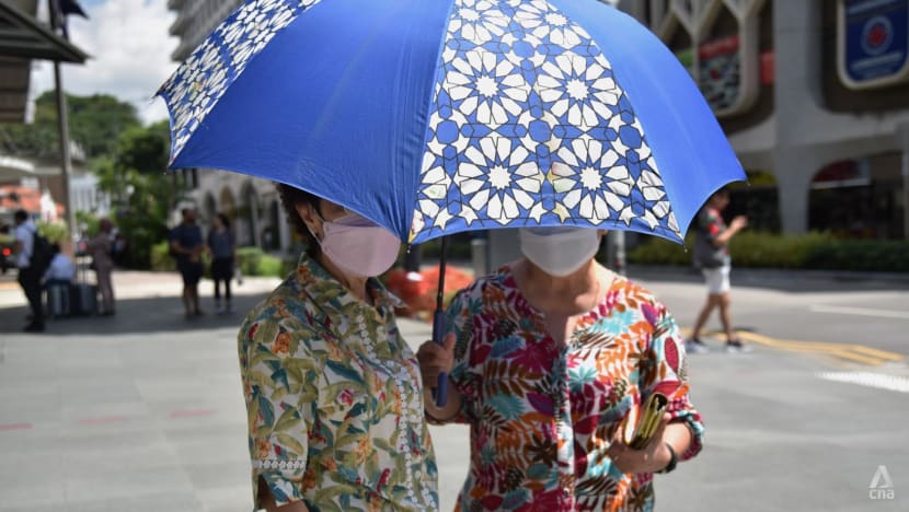 Commentary: Singapore’s heat stress advisory signals a hotter world to come Commentary: Singapore’s heat stress advisory signals a hotter world to come