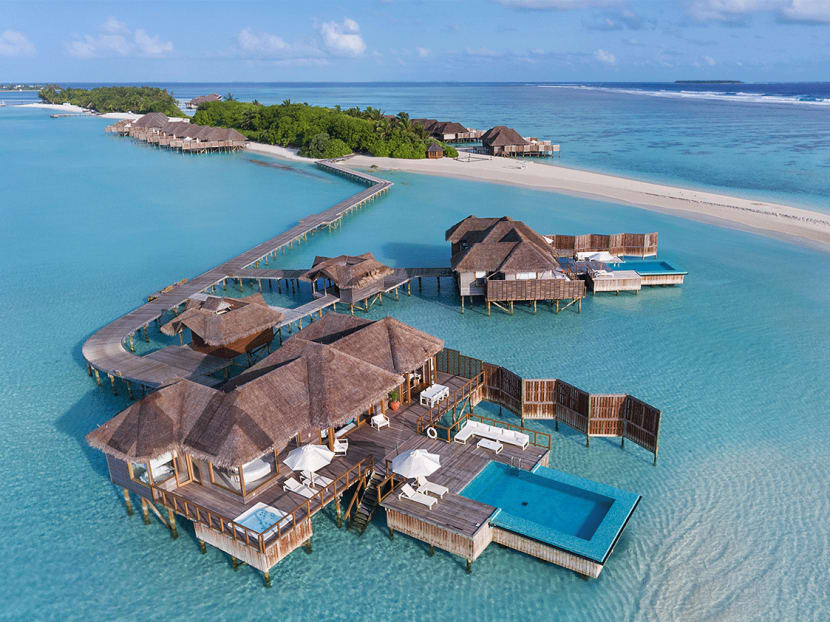 Snorkelling with whale sharks, underwater dining and meeting a heron named George in the Maldives Snorkelling with whale sharks, underwater dining and meeting a heron named George in the Maldives