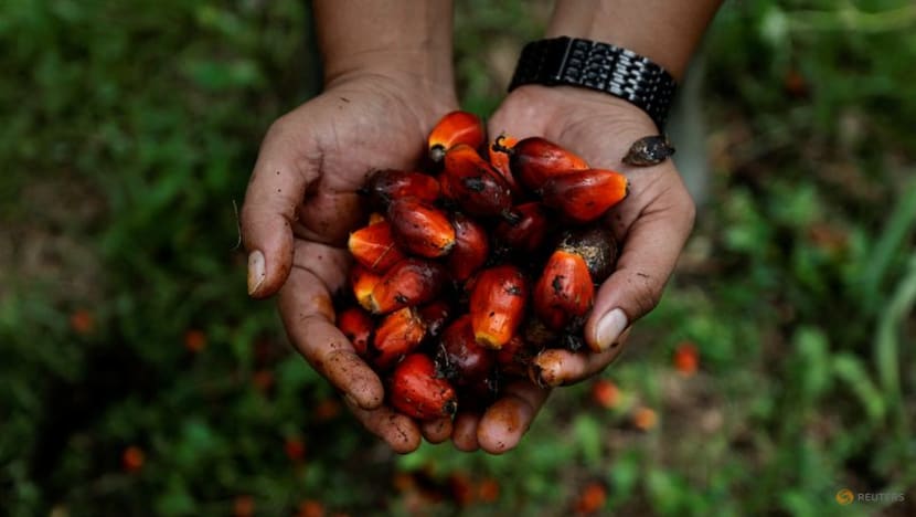 Indonesia's flip-flops give Malaysia edge in top palm oil market India