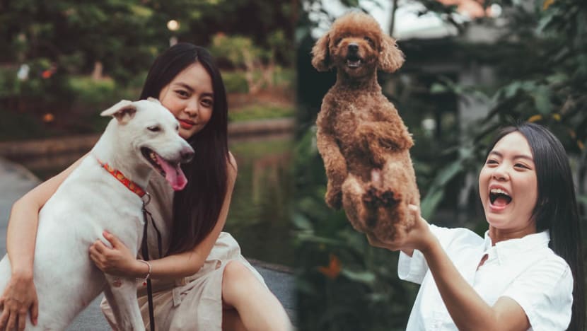 #ConsiderAdoption: Chantalle Ng opens up about her 'mum guilt' towards her dogs