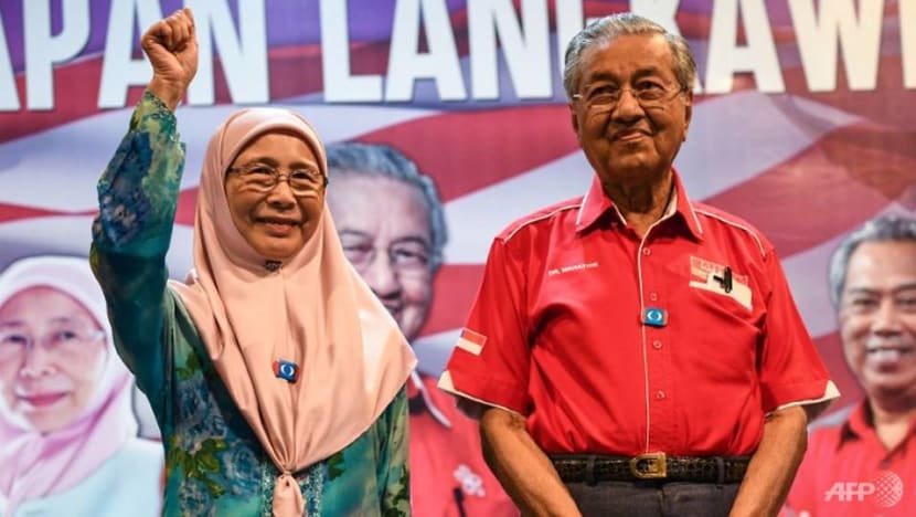 Not easy to fulfil election pledges within 100 days: Malaysia DPM Wan Azizah Not easy to fulfil election pledges within 100 days: Malaysia DPM Wan Azizah
