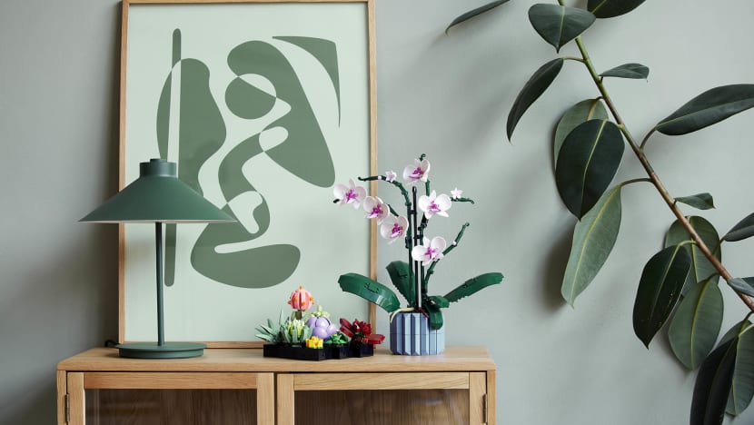 These Lego Plants Are The Perfect Addition To Your Home If You’ve Been Killing All Your (Real) Plants These Lego Plants Are The Perfect Addition To Your Home If You’ve Been Killing All Your (Real) Plants