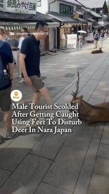 How hard is it to simply bow to the deer like everyone else?

To read the full story, click the link in our bio.

https://www.8days.sg/entertainment/asian/male-tourist-scolded-use-feet-disturb-deer-nara-japan-835031