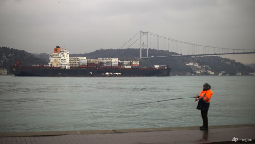 Singapore-registered ships advised to avoid trading in areas affected by Ukraine conflict if necessary: MPA Singapore-registered ships advised to avoid trading in areas affected by Ukraine conflict if necessary: MPA