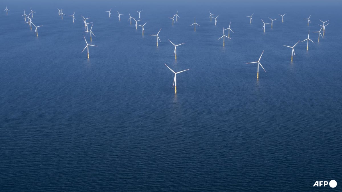 Sweden blocks 13 offshore wind farms over defence concerns