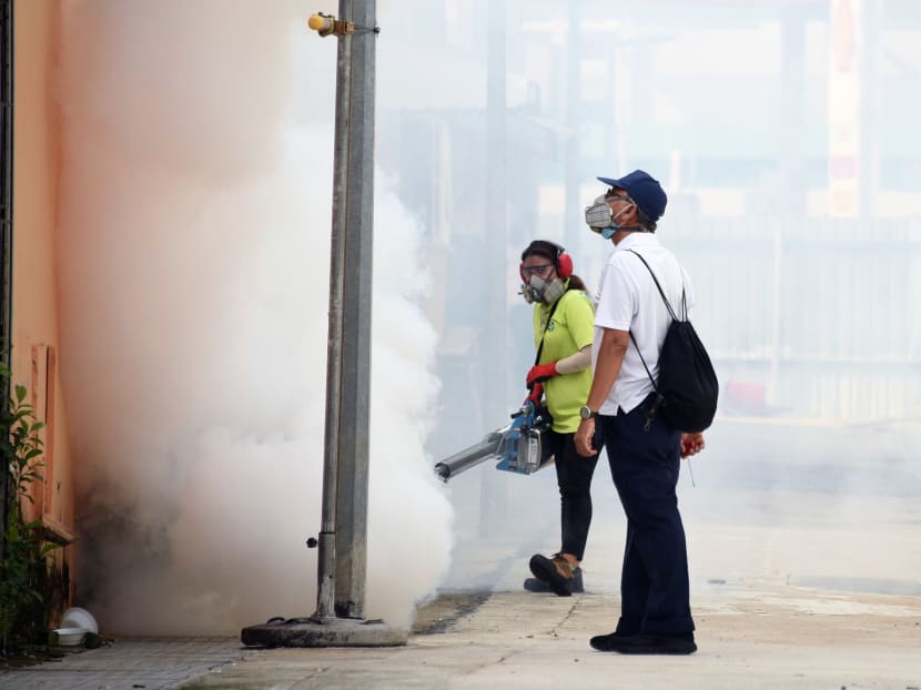 NEA calls for 'urgent action' as dengue cases surpass 6,000 in under 4 months, more than in whole of 2021 NEA calls for 'urgent action' as dengue cases surpass 6,000 in under 4 months, more than in whole of 2021
