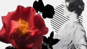 Power of red: Discover how Chanel is using the camellia flower to fight ageing | Interactive