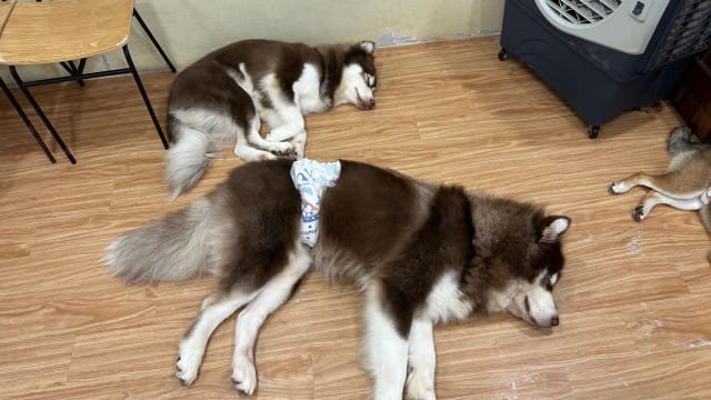 【笔耕园地】温暖的囚笼