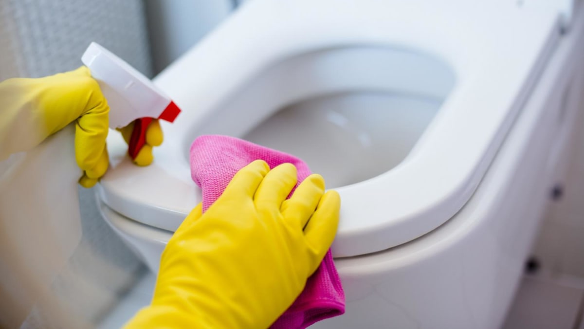 Netizens ridicule SkillsFuture toilet cleaning course; agencies say it's required training for workers in cleaning industry - Vimarsana News