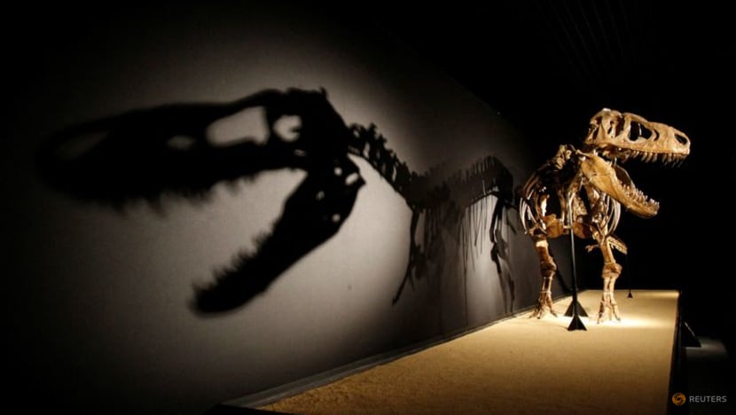 Eye socket changes amped up bite force in T rex and friends Eye socket changes amped up bite force in T rex and friends