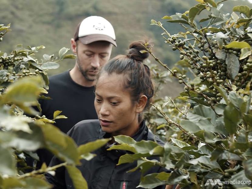 Brewing a love story amid a family-owned coffee farm in central Vietnam