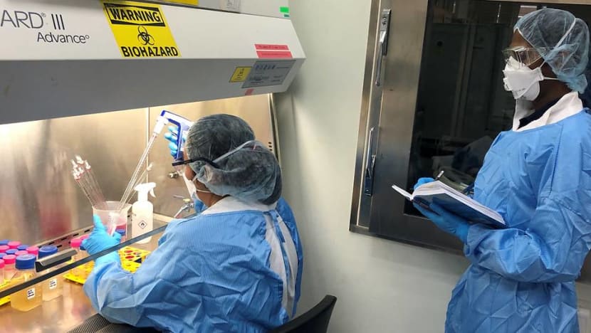 More wastewater testing under way in Singapore to tackle COVID-19; pilot launched at foreign worker dormitories More wastewater testing under way in Singapore to tackle COVID-19; pilot launched at foreign worker dormitories