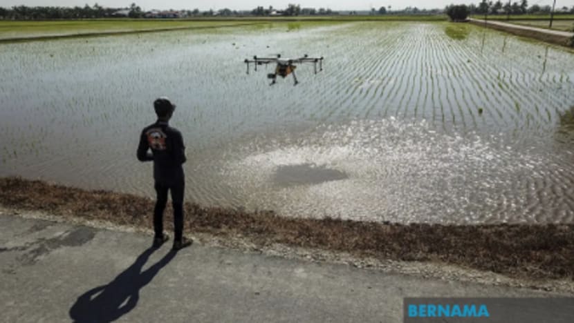 Teknologi dron bantu pesawah jadikan pertanian lebih mudah