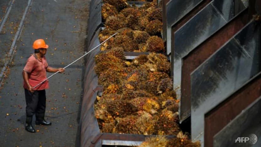 Malaysia's Mahathir rules out trade action over Indian palm oil boycott Malaysia's Mahathir rules out trade action over Indian palm oil boycott