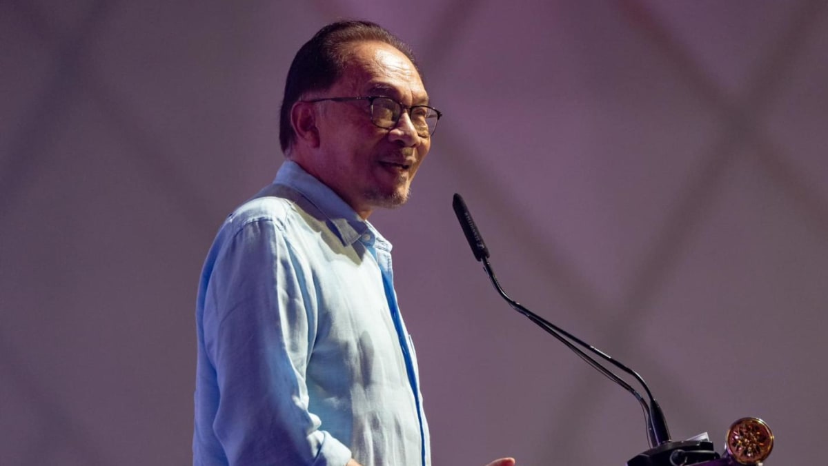 Parties in unity government strong enough against plans to seize power: Malaysia PM Anwar