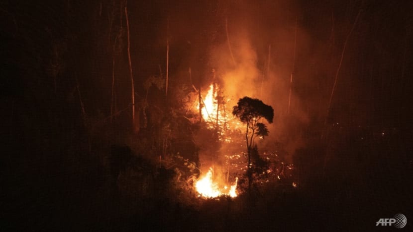 Brazil reports more Amazon fires so far this year than all of 2021