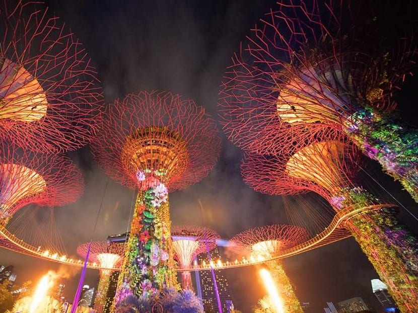 IndoChine Supertree at Gardens by the Bay to shut at the end of April IndoChine Supertree at Gardens by the Bay to shut at the end of April