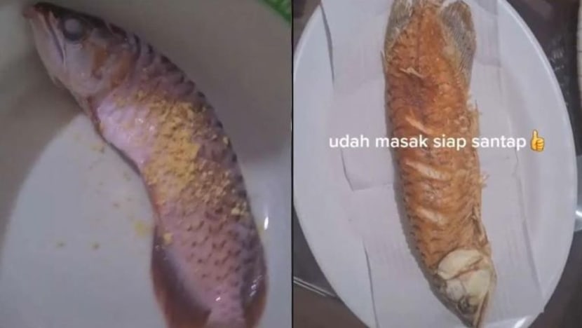 Wanita ini goreng ikan arowana peliharaan suami setelah tangkinya tidak dibersihkan
