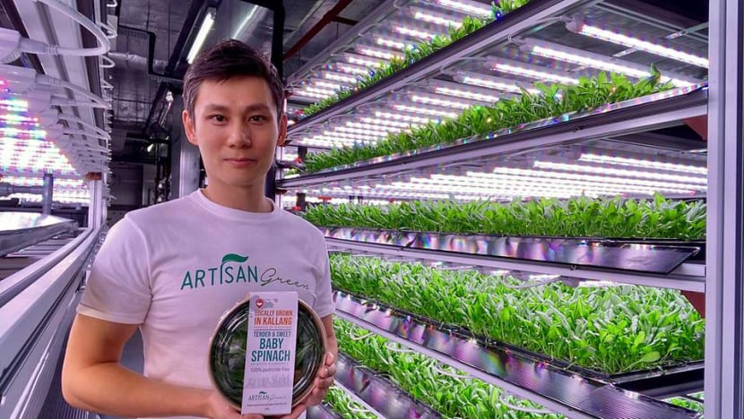 From Macau's casinos to a Kallang farm: The gaming industry professional who now grows baby spinach From Macau's casinos to a Kallang farm: The gaming industry professional who now grows baby spinach