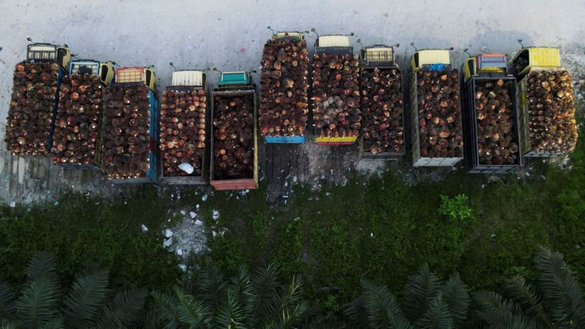 Indonesia Keluarkan Izin Ekspor Minyak Sawit 275.454 T – Resmi