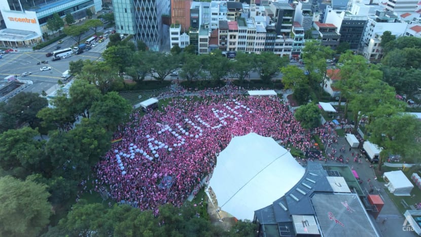 Pink Dot returns to Hong Lim Park for the first time since COVID-19 pandemic started; MPs among attendees Pink Dot returns to Hong Lim Park for the first time since COVID-19 pandemic started; MPs among attendees